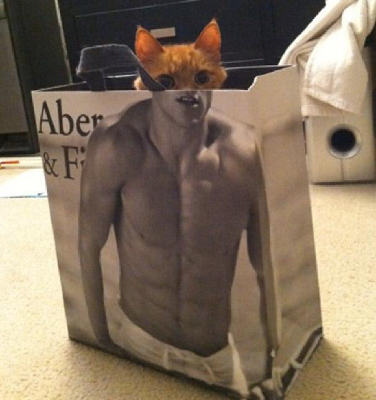 The upcoming face of Abercrombie & Fitch.