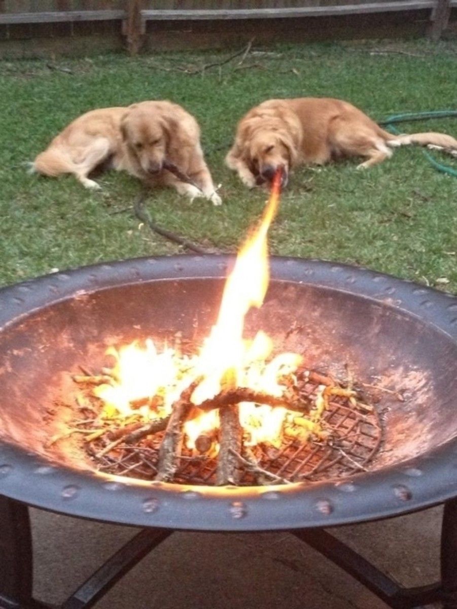Mom! I told you our dog breathes fire!