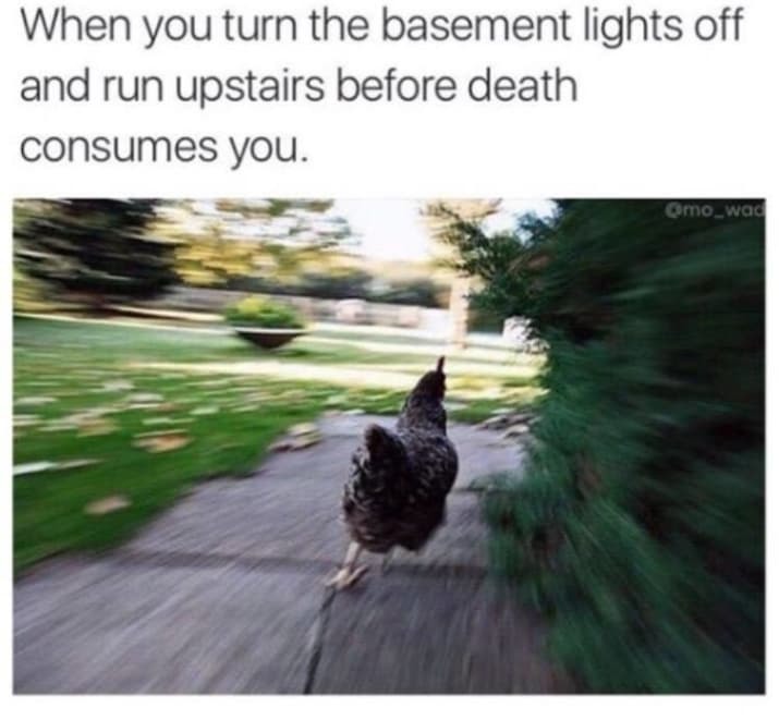 9. Dark basement = certain death.