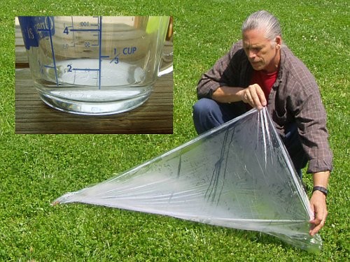 You can collect rainwater to drink using plastic sheet and a glass container. 