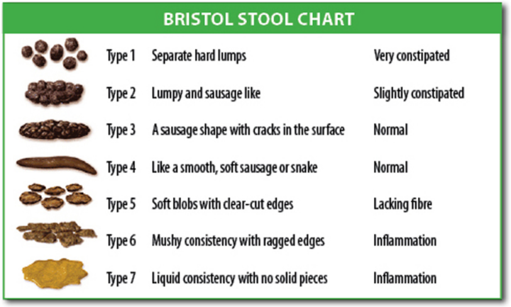 The Bristol Poo Chart