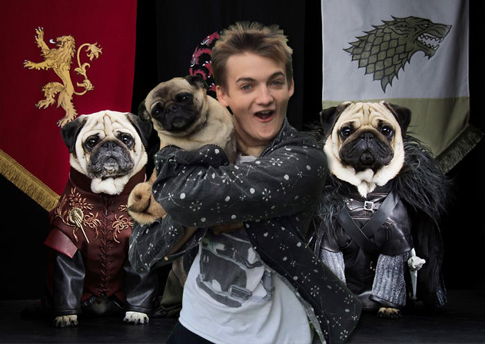  #10 Game Of Pugs