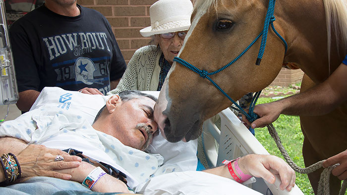 #17 Dying Vietnam Vet Asks For A Final Meeting With Beloved Horses Outside Hospital