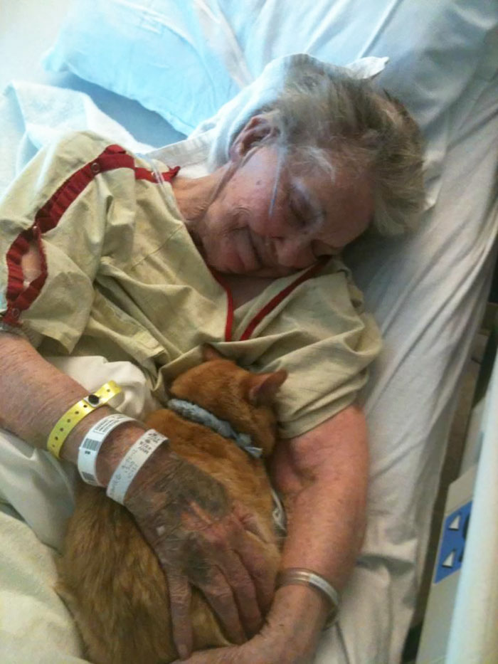 #3 Her Dying Wish Was To See Her Best Friend, Oliver The Cat, One Last Time To Say Goodbye