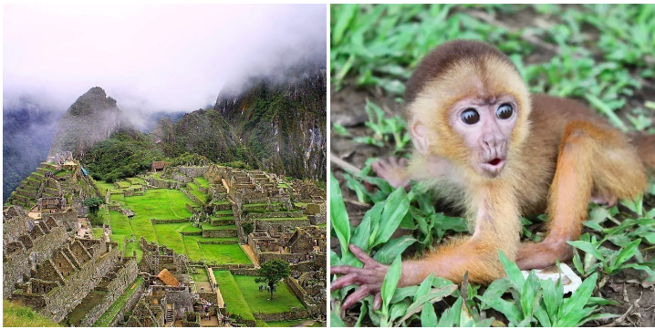 26. Embark on an outdoor adventure in Peru: