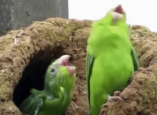 ViralityToday - 8 Gifs Too Perfect For This Mad World