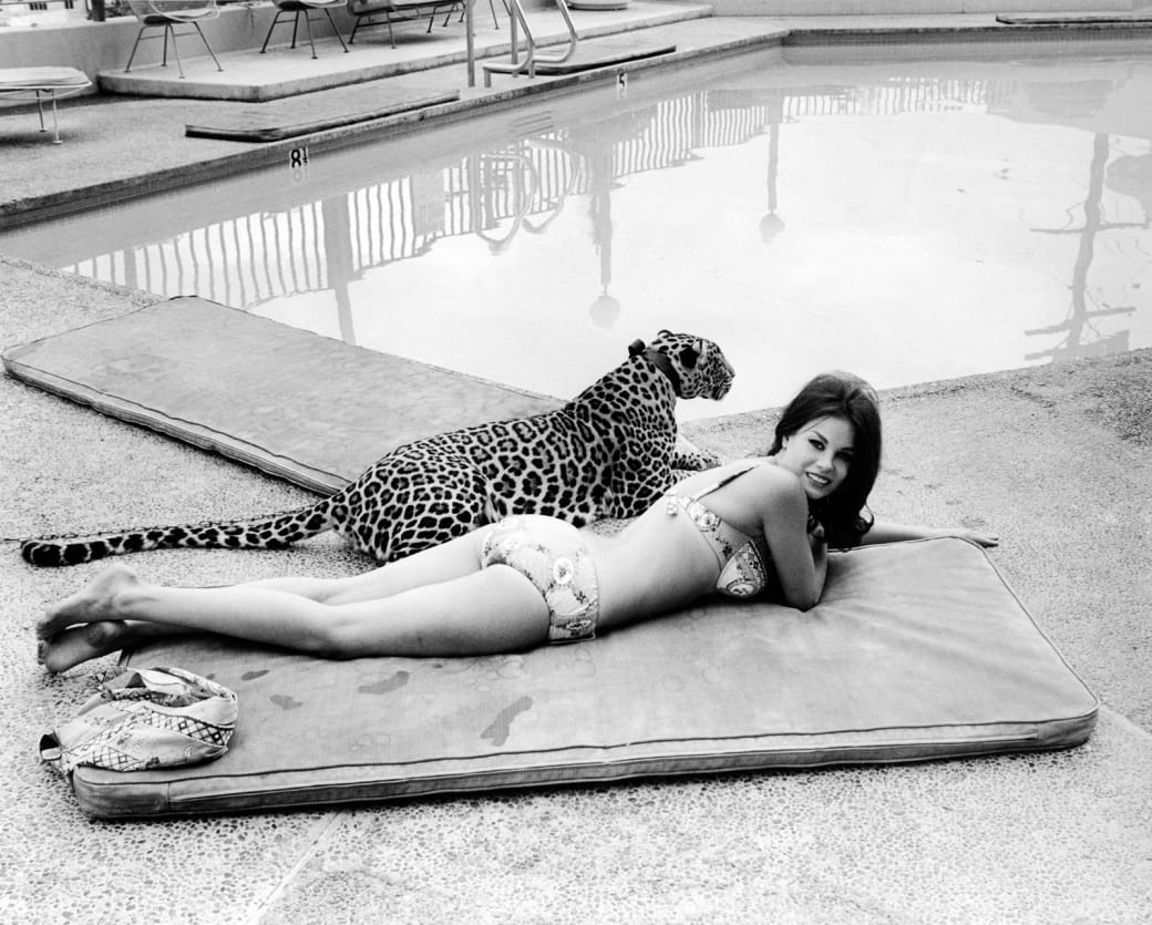 15. Enjoying the company of furry friends by the pool, 1966: