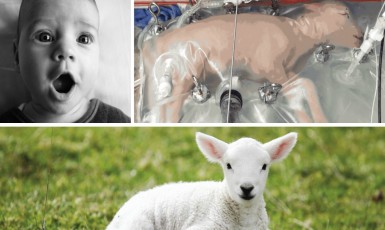 Science Will Replace Your Mother With A Machine Tested On Goat