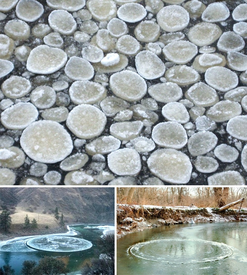 Ice circles on rivers